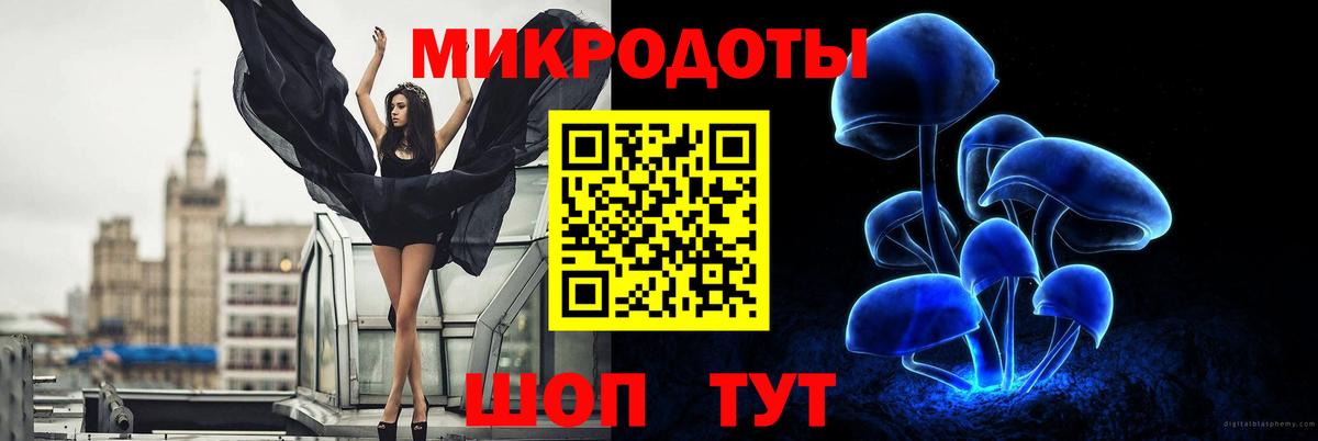 Чебоксары  Псилоцибиновые грибы мицелий  Вход с VPN 